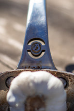 49170B12-8329-4CBE-BEED-0C9227E47C48.jpg