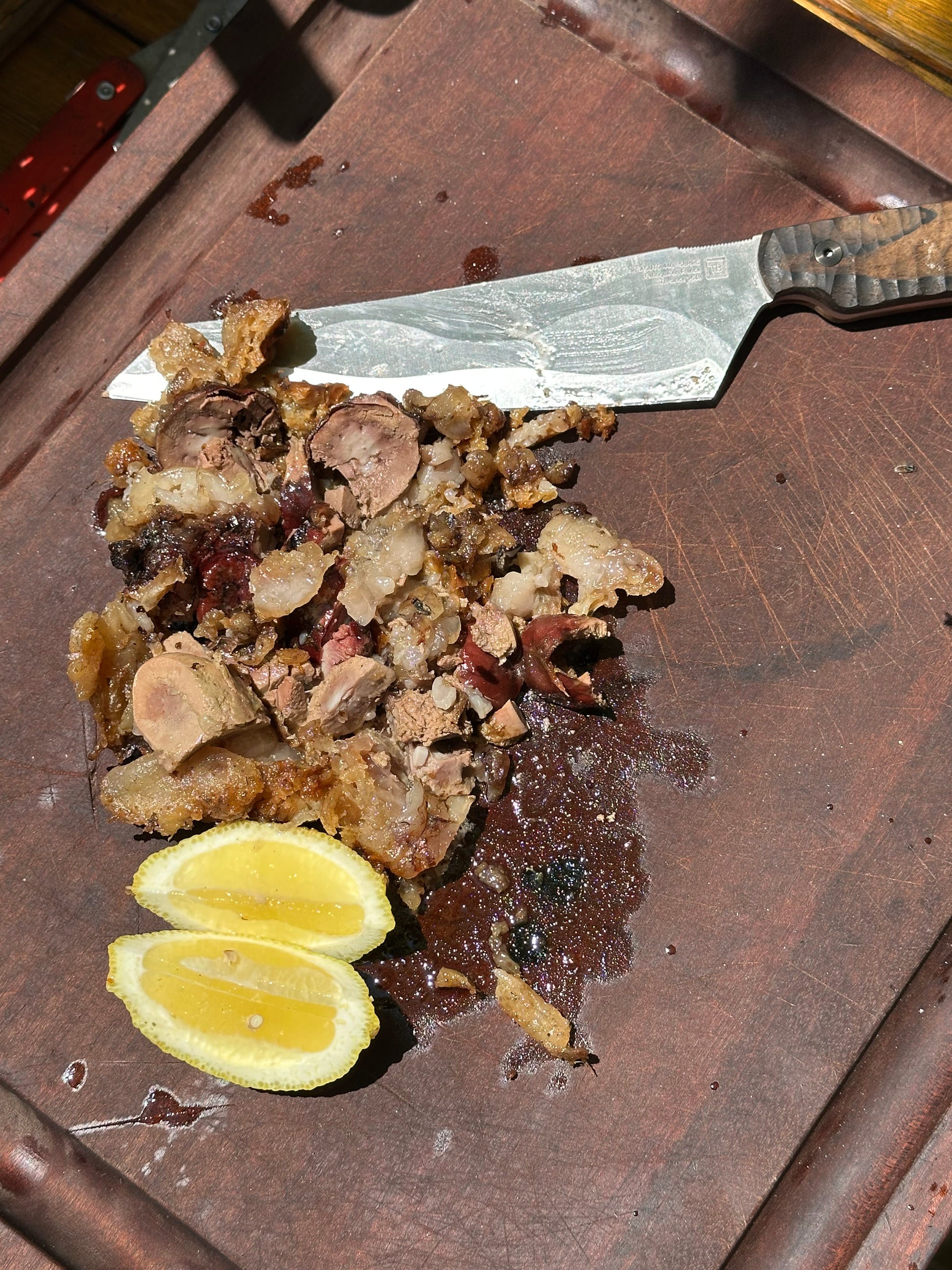 DRAVIK® - Braai Knife